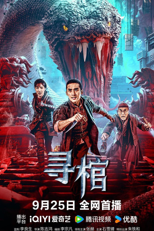2025年国产剧情冒险《寻棺》最新电影下载