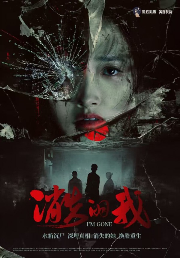 2026年悬疑犯罪《消失的我》最新电影下载