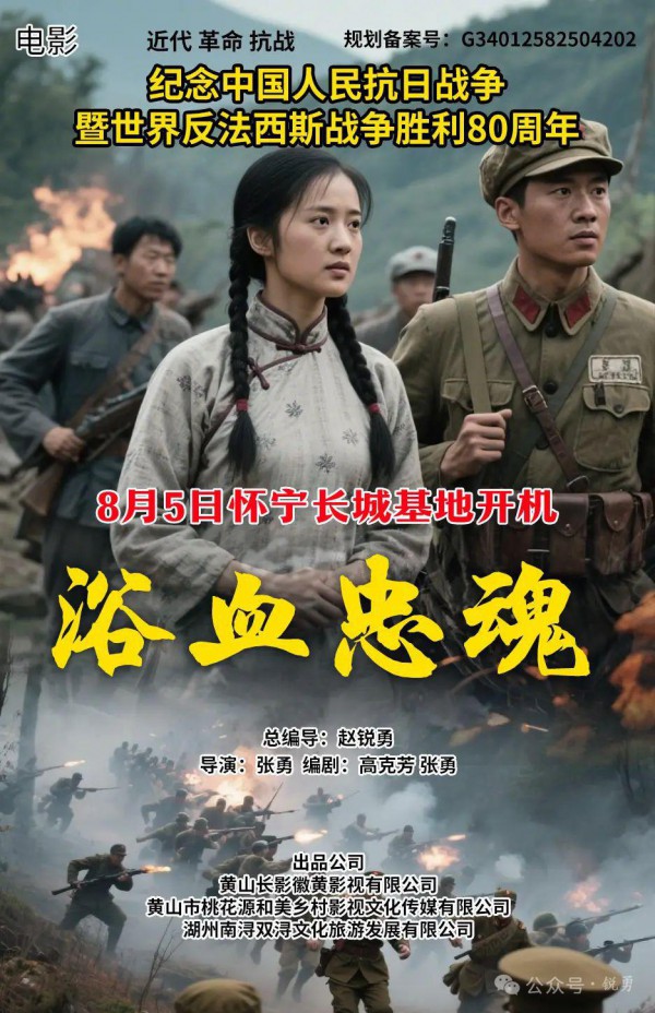 2026年剧情战争《浴血忠魂》最新电影下载