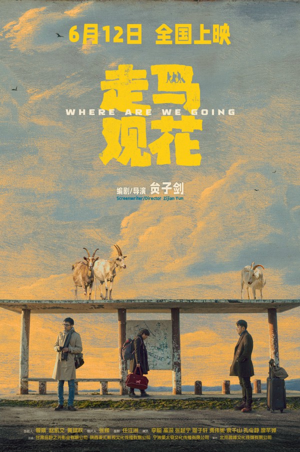 2026年剧情《走马观花》最新电影下载