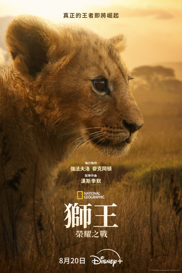 2026年纪录片《狮王：荣耀之战》最新纪录片下载