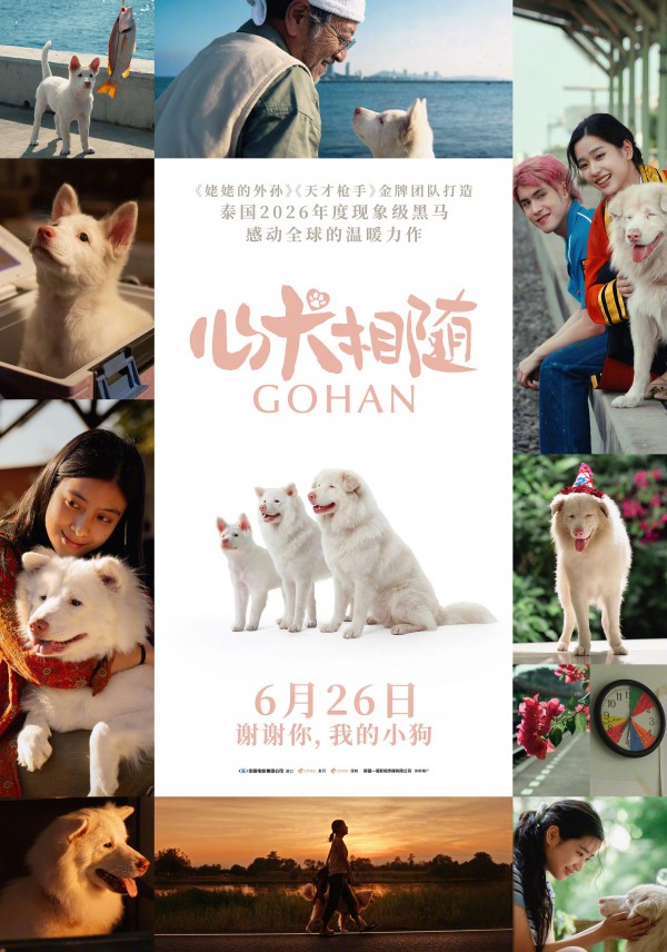 2026年喜剧爱情《心犬相随》最新电影下载