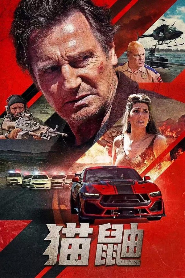 2026年动作惊悚《猫鼬》最新电影下载
